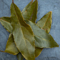 Bartlesville Bay Leaf